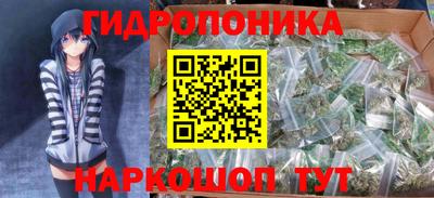 стафф Будённовск