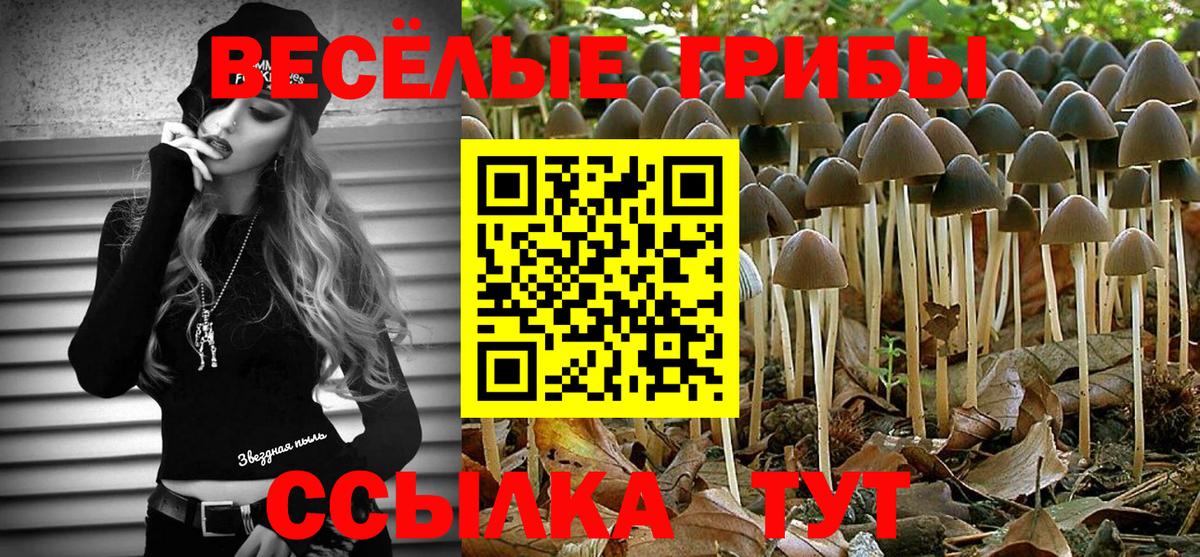 Галлюциногенные грибы мухоморы  Вход с VPN  Псилоцибиновые грибы мухоморы  Арзамас 